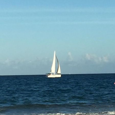 Palm Beach Mermaid West Palm Beach Luaran gambar