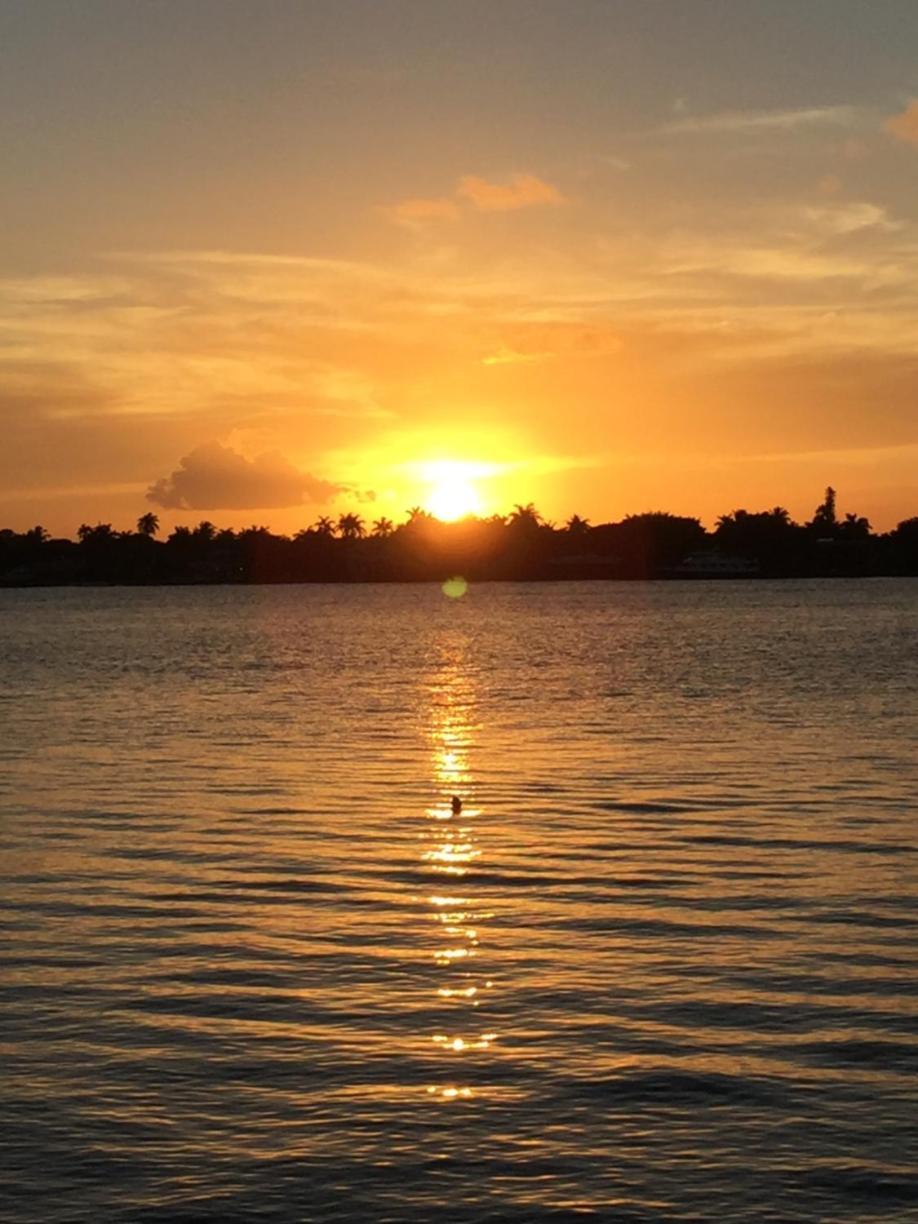 Palm Beach Mermaid West Palm Beach Luaran gambar